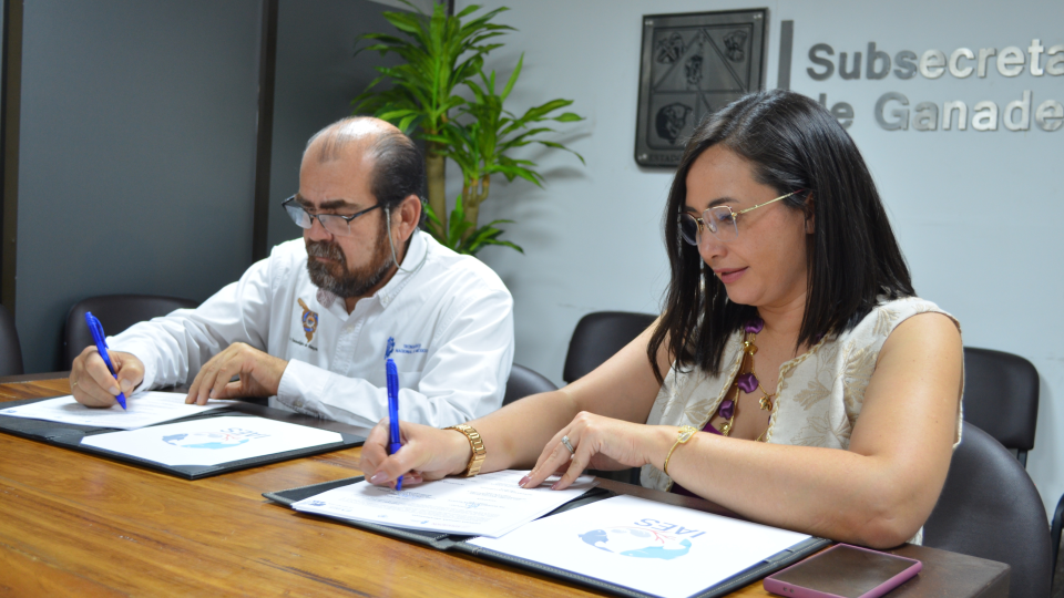 Fortalecen IAES e Instituto Tecnológico de Guaymas alianza para el desarrollo académico y científico
