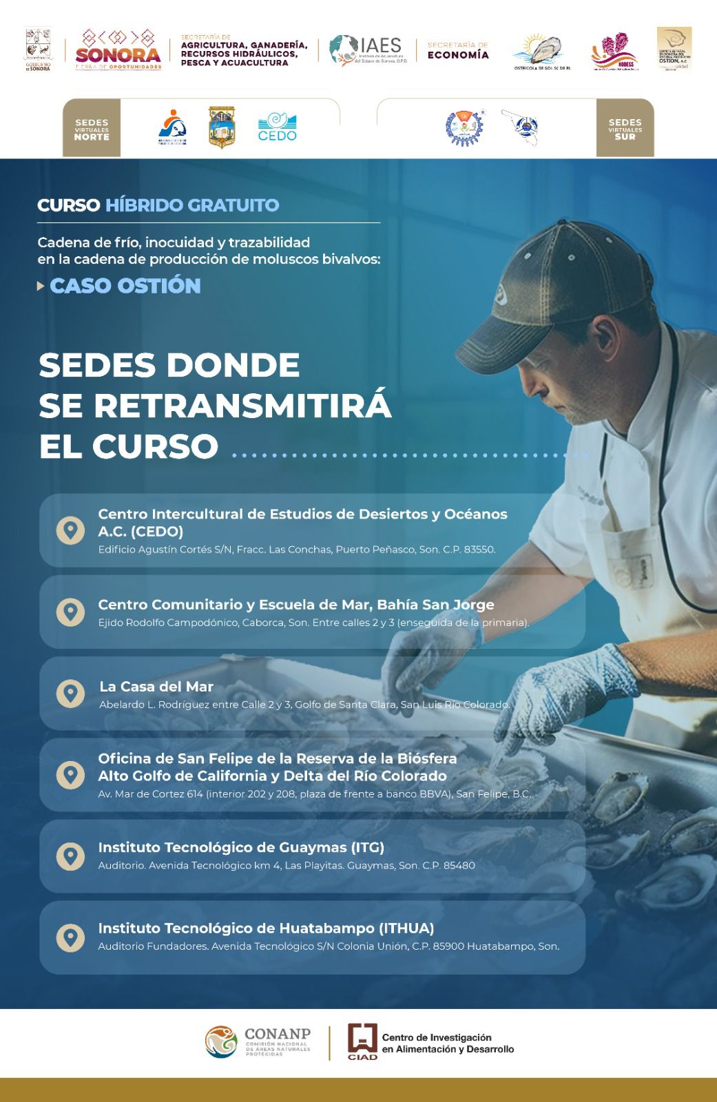 WhatsApp Image 2024 10 17 at 11.08.20 AM